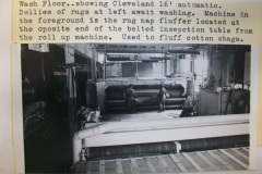 Workers at Historic Mercer Rug Cleaning, Richmond Virginia