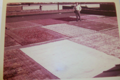 Historic Mercer Rug Cleaning, Virginia