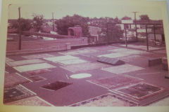 Historic Mercer Rug Cleaning rugs, Richmond VA