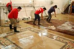 Rug Cleaning and Restoration in Virginia